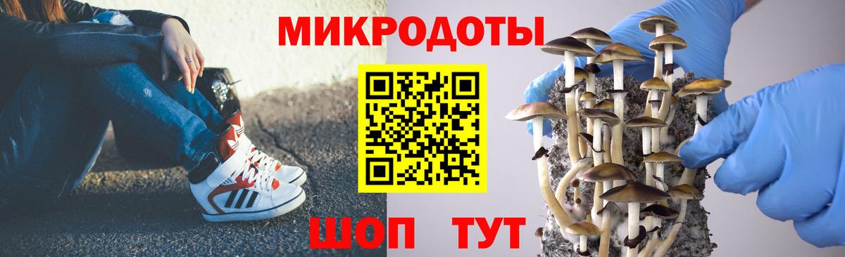 Галлюциногенные грибы Psilocybe  Вход с VPN  что такое   Среднеуральск 